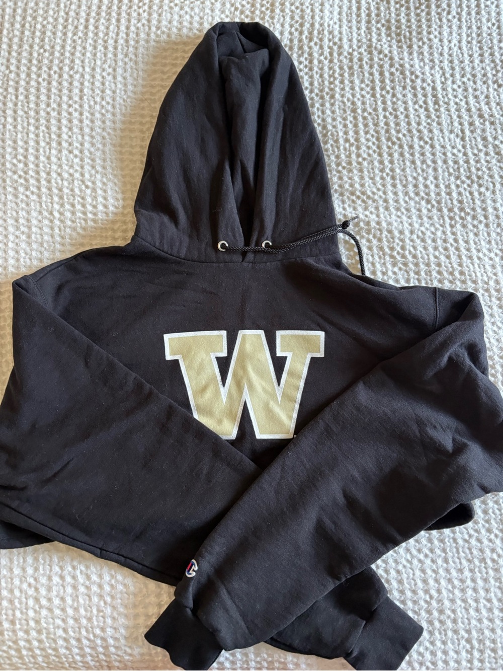 University of Washington cropped game day hoodie - Champion